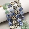 Gradient Color Natural Quartz & Dalmatian Jasper & Blue Spot Jasper & Green Aventurine & Picture Jasper Beads Strands G-B185-A02-2