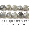 Natural Labradorite Beads Strands G-B022-32C-5