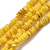Natural Freshwater Shell Beads SHEL-B003-01-4