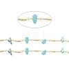 Brass & Synthetic Turquoise Link Chain CHC-D029-01G-2