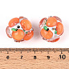 Fruit Round Resin Beads RESI-T059-03G-3