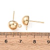 Brass Stud Earring Findings KK-G604-01G-04-3