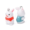 Opaque Resin Pendants FIND-P035-01P-M-2