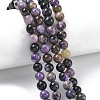 Natural Charoite Beads Strands G-C270-O03-02-1