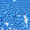 Baking Paint Glass Seed Beads SEED-H002-I-B505-3
