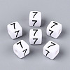 Opaque Acrylic European Large Hole Beads SACR-N020-01B-08-1