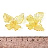 Transparent Plastic Pendants KY-N025-44E-3
