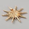 Alloy Rhinestone Lapel Pins for Clothes JEWB-WH0056-005G-2