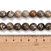 Natural Fossil Coral Beads Strands G-C288-A01-10mm-5
