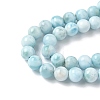 Natural Larimar Beads Strands G-B141-01-6mm-4
