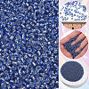3000Pcs Glass Seed Beads SEED-PA0001-29A-02-5