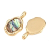Brass Natural Paua Shell Irregular Pendants KK-I453-01G-02-2