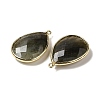 Faceted Natural Labradorite Pendants X-G-M356-B02-LG-4
