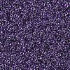 MIYUKI Round Rocailles Beads SEED-X0054-RR0223-3