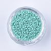 Baking Paint Cylinder Seed Beads SEED-Q036-02A-D05-2