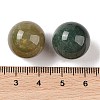 Natural Indian Agate No Hole Sphere Beads G-K353-04D-09-3