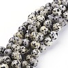 Natural Dalmatian Jasper Beads Strands X-GSR10mmC004-1