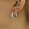 304 Stainless Steel Hoop Earrings PF4173-2-2