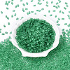 FGB Frosted Transparent Glass Seed Beads SEED-N013-06A-09-2