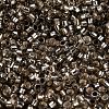 Glass Seed Beads X1-SEED-S042-04A-09-3