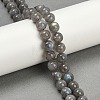 Natural Labradorite Beads Strands G-G448-8mm-04A-5