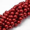Shell Pearl Beads Strands X-BSHE-L026-01-14mm-1