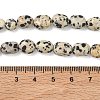 Natural Dalmatian Jasper Beads Strands G-C286-A09-5