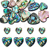 12Pcs 2 Styles Natural Abalone Shell/Paua Shell Beads SHEL-TA0001-41-1