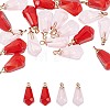 10Pcs 2 Colors Transparent Resin Pendants RESI-FP0001-40-3