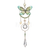 Stainless Steel Resin Butterfly Suncatcher HJEW-TA00451-02-1