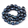 Natural Cultured Freshwater Pearl Beads Strands PEAR-N012-08L-01-2