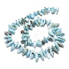 Natural Larimar Beads Strands G-G106-J04-01-2