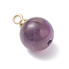 Natural Amethyst & Rose Quartz & Quartz Crystal & Apatite & Green Aventurine Round Charms PALLOY-JF04778-4