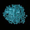 Luminous Glow in the Dark Transparent Glass Round Beads GLAA-F124-B07-2