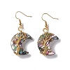 Natural Paua Shell Crescent Moon Dangle Earrings EJEW-G307-01G-2