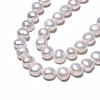 Natural Cultured Freshwater Pearl Beads Strands PEAR-N014-07C-4