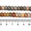 Natural Gemstone Beads Strands G-F513-04-4