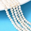 Natural Cultured Freshwater Pearl Beads Strands PEAR-I007-07O-01A-1