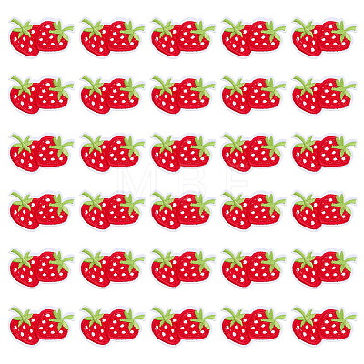 30Pcs Strawberry Computerized Embroidery Cloth Iron on/Sew on Patches PATC-FG0003-73B-1