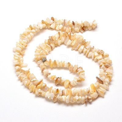 Natural Freshwater Shell Chip Bead Strands G-M205-20-1
