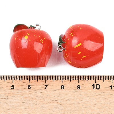 Opaque Resin Pendants RESI-D021-01B-1