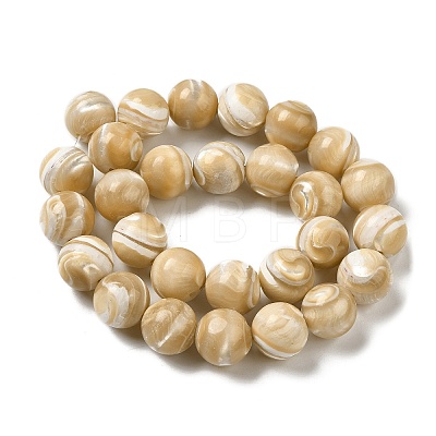 Natural Trochus Shell Beads Strands SHEL-K006-18B-1