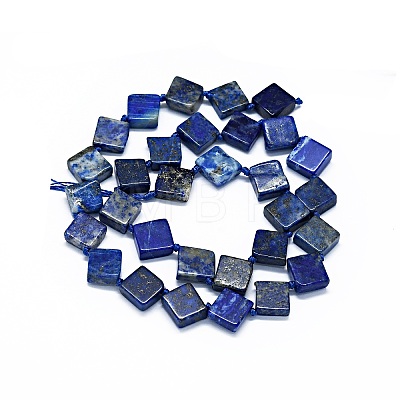 Natural Lapis Lazuli Beads Strands G-F725-31-1