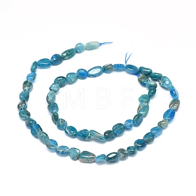 Natural Apatite Beads Strands G-D0004-A02-01-1