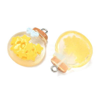 Transparent Resin Pendants LS-RESI-K203-19-1