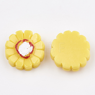 Resin Cabochons CRES-S358-20-1