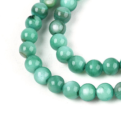 Natural Freshwater Shell Beads Strands X-BSHE-T009A-01J-1