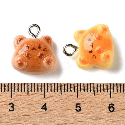 Resin Pendants RE-T001-02-1