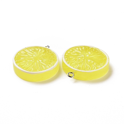 Flat Round Resin Fruit Pendants RESI-H144-10C-1