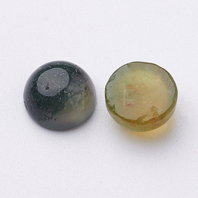Natural Moss Agate Cabochons G-MOSS8x4-1